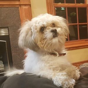 Meet your Posher, Mary